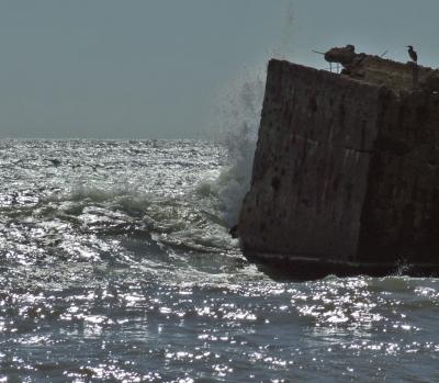 Прикрепленное изображение: DSCF7816.jpg